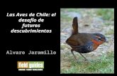 Las Aves de Chile: el desafío de futuros descubrimientos Alvaro Jaramillo.