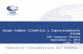 Joint to promote our capacities  Federación Interamericana del Cemento Grupo Cambio Climático y Coprocesamiento FICEM XXX Congreso Técnico.