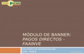 MÓDULO DE BANNER: PAGOS DIRECTOS - FAAINVE DECANATO DE ADMINISTRACIÓN UIPR - PONCE varmstro/2010.