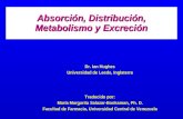 Absorción, Distribución, Metabolismo y Excreción Dr. Ian Hughes Universidad de Leeds, Inglaterra Traducido por: María Margarita Salazar-Bookaman, Ph. D.