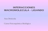 Ana Denicola Curso Fisicoquímica Biológica INTERACCIONES MACROMOLECULA - LIGANDO.