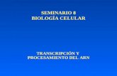 SEMINARIO 8 BIOLOGÍA CELULAR TRANSCRIPCIÓN Y PROCESAMIENTO DEL ARN.