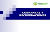 COBRANZAS Y RECUPERACIONES. 1.- ESTRUCTURA DEL AREA DE RECUPERACIONES I.Agrobanco (Analista de Recuperaciones) II.Asesores Externos III. Locadores Supervisores.