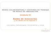 Doc 5 redes de innovacion