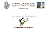 Urgencias en otorrinolaringología Seminarios de ORL Departamento de Otorrinolaringología.