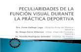 Dra. Irene Gallego Lago. (Hospital Arnau de Vilanova –Valencia-) Dr. Diego Zarco Villarosa. (Hosp. Virgen del Consuelo –Valencia-) Dr. Vicente Rodríguez.