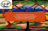 Universidad del Valle de Puebla Licenciaturas de derecho y gastronomía Lic. Nelson José Gallardo y Furlong Los mapas mentales: Tony Buzan.