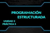 Programacion Estructurada Unidad 3 Practica 5