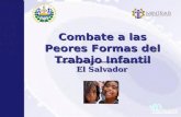 Combate a las Peores Formas del Trabajo Infantil El Salvador.