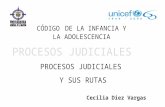 PROCESOS JUDICIALES Y SUS RUTAS CÓDIGO DE LA INFANCIA Y LA ADOLESCENCIA Cecilia Diez Vargas.
