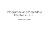 Programación Orientada a Objetos en C++ Febrero 2009.