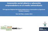 Innovación social abierta y educación emprendedora en el medio universitario. El Programa Regional de Emprendedorismo e Innovación en Ingeniería Esteban.