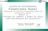 COLEGIO DE POSTGRADUADOS Financiera Rural Maestría en Gestión Financiera para el Desarrollo Rural Modulo II Enfoque de Cadenas y Redes de Valor como Herramienta.