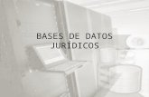 BASES DE DATOS JURÍDICOS. LA IMPORTANCIA DE LAS BASES DE DATOS JURÍDICAS Cada día se han vuelto de mayor importancia las bases de datos sistematizadas.