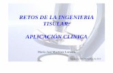 Retos de la Ingeniería Tisular: Aplicación Clínica. María José Martínez Lorenzo