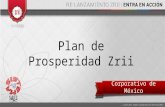 Plan de Prosperidad Zrii Documentado. Saez Sistema de Negocio Documentado.