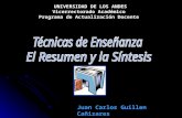 UNIVERSIDAD DE LOS ANDES Vicerrectorado Académico Programa de Actualización Docente Juan Carlos Guillen Cañizares.