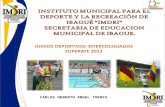 CARLOS HEBERTO ANGEL TORRES. PRESENTACION El Instituto Municipal para el Deporte y la Recreacion de Ibague IMDRI, en cumplimiento a las politicas y programas.