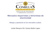 Mercados mayoristas y minoristas de electricidad Julián Barquín Gil, Carlos Batlle López Riesgo y operación en los mercados a plazo.