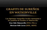 Las siguientes fotografías locales representan a las pandillas de Sureños en Watsonville: Poor Side Watsonville (PSW, PSL) y Mexican Side Locos (MSL,