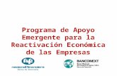 14 de mayo de 2009 127 Programa de Apoyo Emergente para la Reactivación Económica de las Empresas.