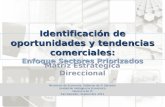 Identificación de oportunidades y tendencias comerciales: Enfoque Sectores Priorizados Matriz Estratégica Direccional Ministerio de Economía, Gobierno.