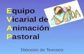 Equipo Vicarial de Animación Pastoral Diócesis de Texcoco.