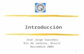 1 Introducción José Jorge Saavedra Rio de Janeiro, Brasil Noviembre 2004.
