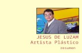 JESUS DE LUZAM Artista Plástico resumen. JESUS DE LUZAM Venezolano, N/ 1.961. Arquitecto 1.984 Universidad de Los Andes (ULA). MSc. Tecnología de Productos.