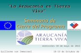 Seminario de Cierre del Programa La Araucanía es Tierra Viva" Jueves, 01 de Mayo de 2014 Guillermo van Immerzeel 18-19 de Octubre de 2007.