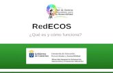 RedECOS ¿Qué es y cómo funciona?. ¿Qué es la RedECOS? Una iniciativa para desarrollar la Educación Ambiental en el aula. Un espacio común de trabajo entre.