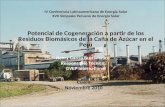 POTENCIAL DE COGENERACION A PARTIR DE LOS RESIDUOS BIOMASICOS DE LA CAÑA DE AZUCAR EN EL PERU