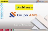 AMS-Sistemas De Informacion Ver1.0 (2011)