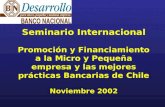 Seminario Internacional Promoción y Financiamiento a la Micro y Pequeña empresa y las mejores prácticas Bancarias de Chile Noviembre 2002.
