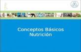 Conceptos Básicos Nutrición. 1. Conceptos básicos Alimentación Consiste en obtener del entorno productos naturales o transformados que conocemos con el.