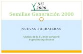 NUEVAS FORRAJERAS Semillas Generación 2000 Matías de la Fuente Schalchli Ingeniero Agrónomo.