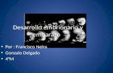 Desarrollo embrionario y embarazo