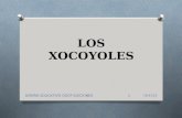 LOS XOCOYOLES 03/05/2014 DISEÑO EDUCATIVO GOCP EDICIONES1.