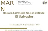 Ministerio de Medio Ambiente y Recursos Naturales MARN Una gestión enérgica, articulada, inclusiva, responsable y transparente San Salvador, 10 de Diciembre.
