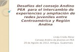 Desafíos del consejo Andino PEA para el intercambio de experiencias y ampliación de redes juveniles entre Centroamérica y Región Andina Linda Criollo Pérez.