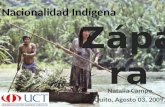 Nacionalidad IndíGena Zaparos