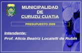 MUNICIPALIDADDE CURUZU CUATIA Intendente: Prof. Alicia Beatriz Locatelli de Rubín PRESUPUESTO 2009.