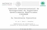 Comisión Intersecretarial de Bioseguridad de Organismos Genéticamente Modificados CIBIOGEM Y Su Secretaría Ejecutiva 27 de mayo de 2013 M. en C. Rosa I.