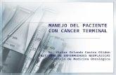 MANEJO DEL PACIENTE CON CANCER TERMINAL Dr. Victor Orlando Castro Oliden INSTITUTO DE ENFERMEDADES NEOPLASICAS Servicio de Medicina Oncológica.