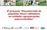 El proyecto "Reconversión de pequeñas fincas cafetaleras en unidades agropecuarias autosostenibles"