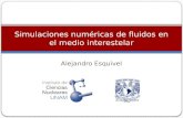 Alejandro Esquivel Simulaciones numéricas de fluidos en el medio interestelar.