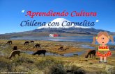 Aprendiendo Cultura Chilena con Carmelita Jennifer Constanza Pérez González Repaso.
