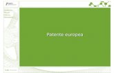 Introducción Marcas Patentes Internacional Patente europea.