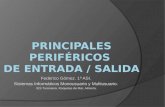 Perifericos de Entrada y Salida - Tarjeta Gráfica, Tarjeta de Sonido y Monitores de visualización.