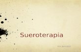 Sueroterapia Ana Igarzabal. Algunas ideas… No existe sueroterapia ideal No existe regla general Muy dependiente de la experiencia laboral/diferentes escuelas.